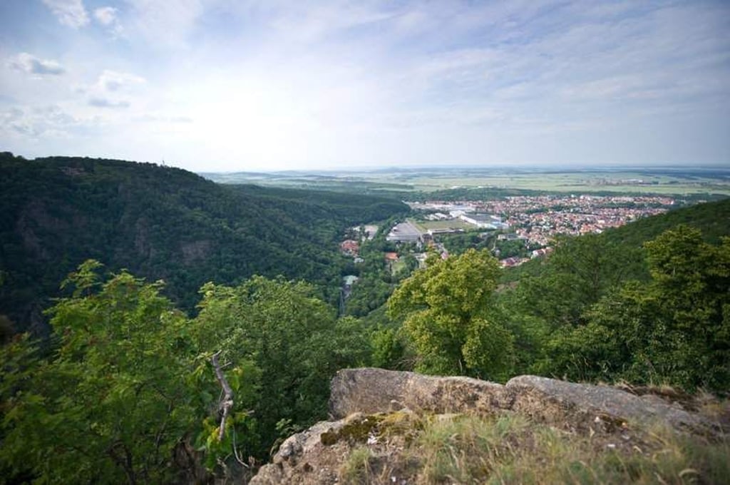 ARCHIV - Von einer Aussichtsplattform der Bergstation auf dem Hexentanzplatz sieht man am 04.06.2014 auf die Stadt Thale (Sachsen-Anhalt). Foto: Daniel Naupold/dpa (zu dpa-Hintergrund "Der Harz - Deutschlands nördlichstes Mittelgebirge" vom 07.07.2014) +++(c) dpa - Bildfunk+++