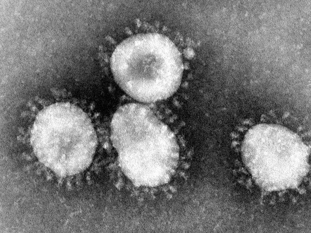 Center for Disease Control