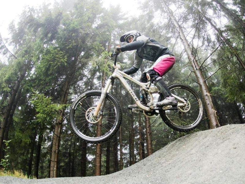 Ein Mountainbiker ist im Harz unterwegs. Foto: Julian Stratenschulte/Archiv