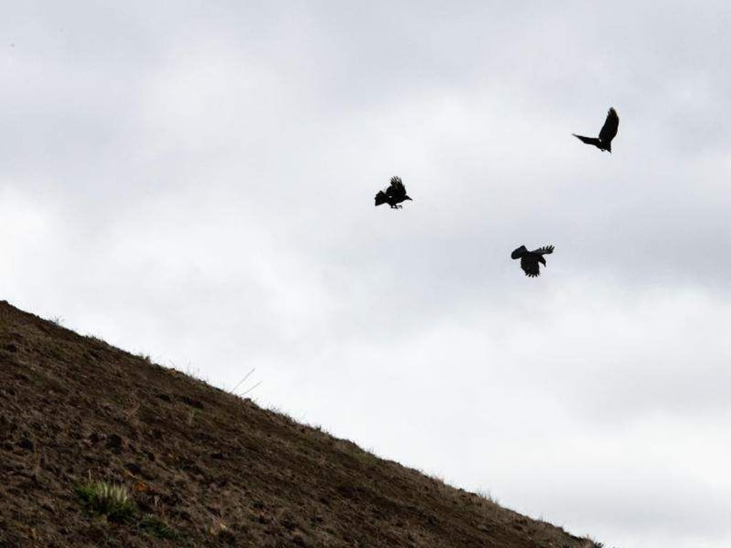 Oktober war trocken und grau in Sachsen-Anhalt. Foto: Bernd Thissen