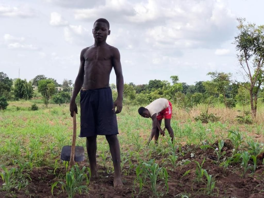 Feldarbeit in Togo: Moderne landwirtschaftliche Geräte gibt es in dem westafrikanischen Land für die einfache Bevölkerung nicht. Foto: Gabriele Derouiche/dpa-tmn
