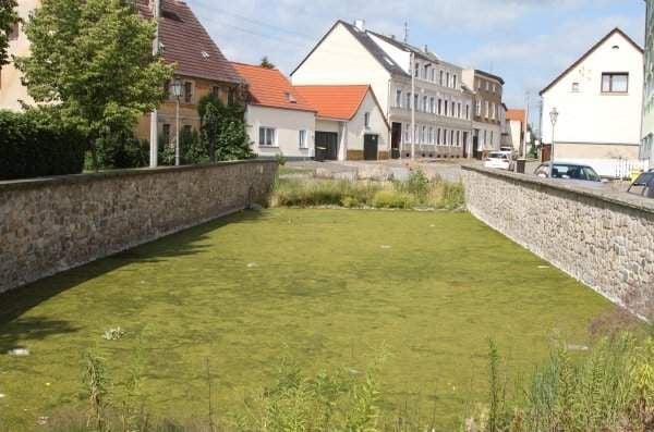 Der grüne Teich von Ottersleben