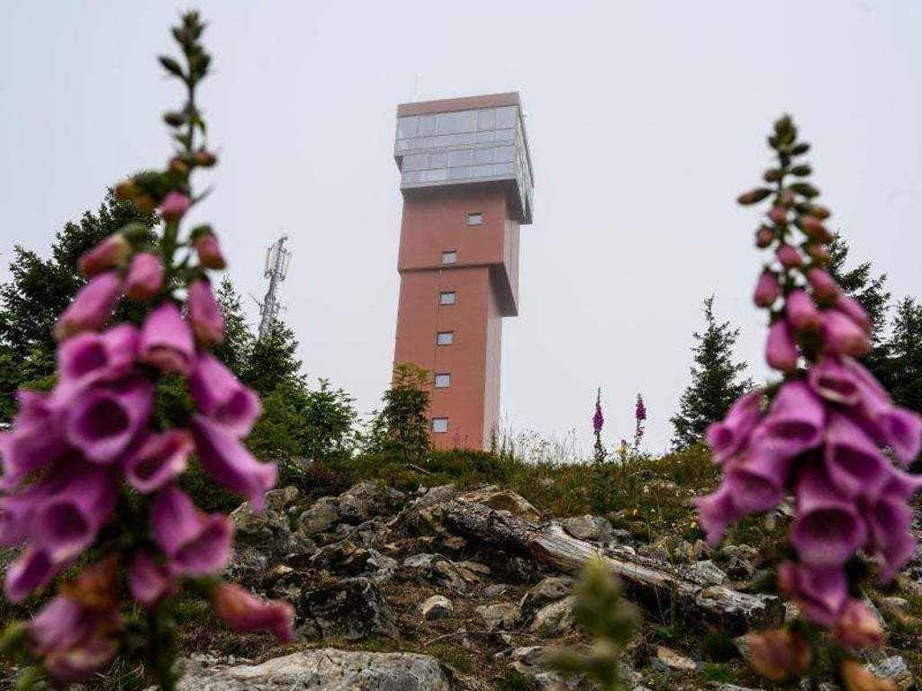 Der neue Wurmberg Turm bei Braunlage soll Mitte August offiziell eröffnet werden. Foto: Christophe Gateau