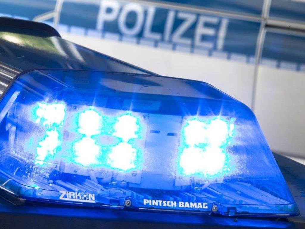 Ein Blaulicht leuchtet auf dem Dach eines Polizeiwagens. Foto: Friso Gentsch/Archiv