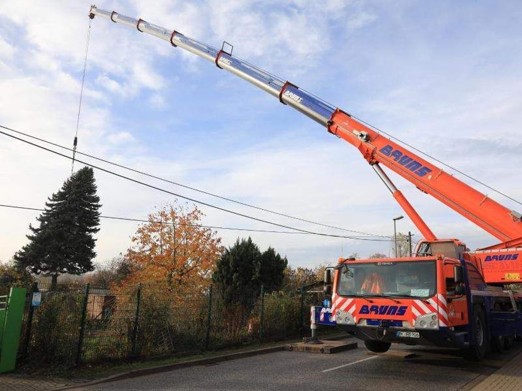 Eine 75 Jahre und rund 16 Meter große Blautanne hängt an einem Kran. Foto: Peter Gercke