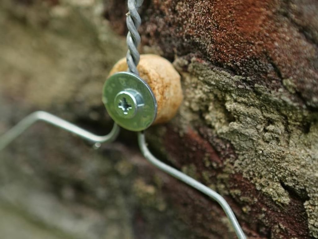 Ein Stück Korken dient für die Kleiderbügel als Abstandhalter zur Mauer. Foto: diy-academy.eu