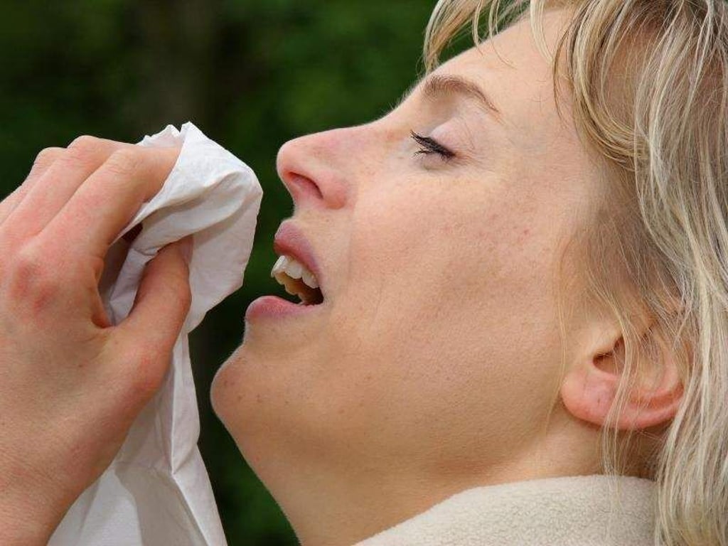 Gegen Heuschnupfen helfen keine frei verkäuflichen Medikamente, sondern eine Immuntherapie. Foto: Heiko Wolfraum