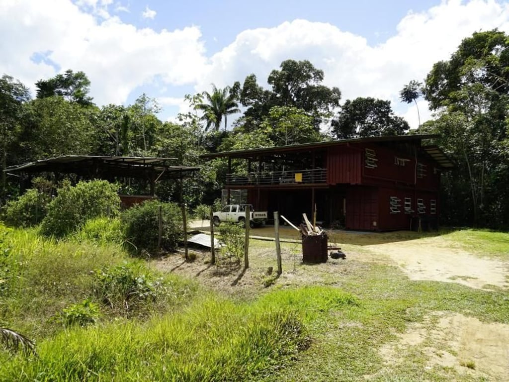Faultierrettungszentrum in Misgunst:&nbsp;Die Regenwald-Bewohner sind durch Rodungen bedroht. Foto: Steven Hille