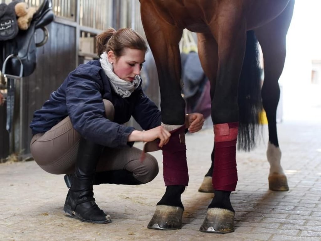 Weiß auch beim Bandagen wechseln, wie es geht: Als Pferdewirtin ist Sophia Mann Expertin für die Tiere. Foto: Tobias Hase