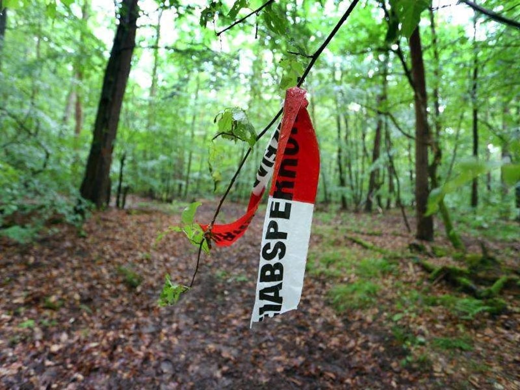 Der Unternehmer Würth zählt zu den reichsten Deutschen. Jetzt wurde sein Sohn entführt, später aber in dem Wald wohlbehalten gefunden. Foto: Karl-Josef Hildenbrand/Archiv