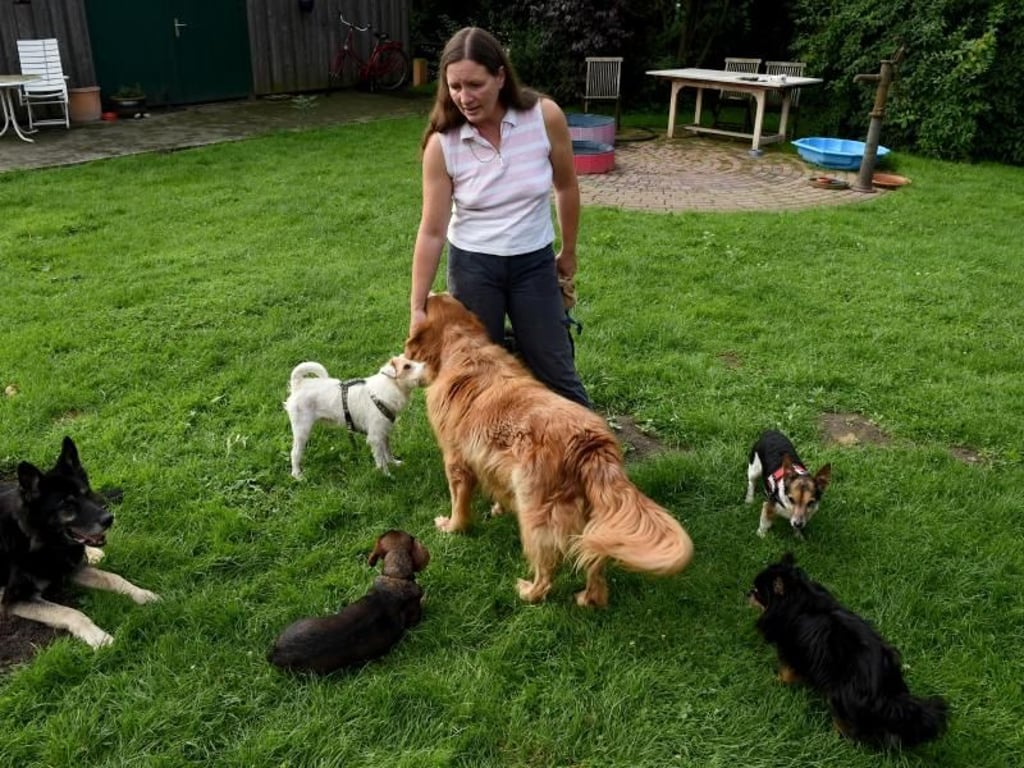 Heike Thiel nimmt sich viel Zeit für die alten Vierbeiner. Foto: Carsten Rehder