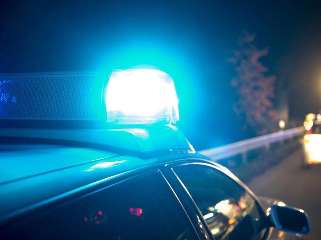 Ein Blaulicht leuchtet an einem Polizeiwagen. Foto: Armin Weigel/Archiv