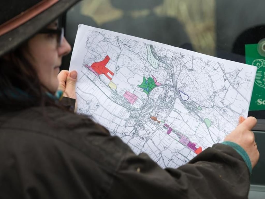 Sarah Twente blickt auf eine Karte mit Beweidungsflächen für Bentheimer Landschafe. Foto: Friso Gentsch