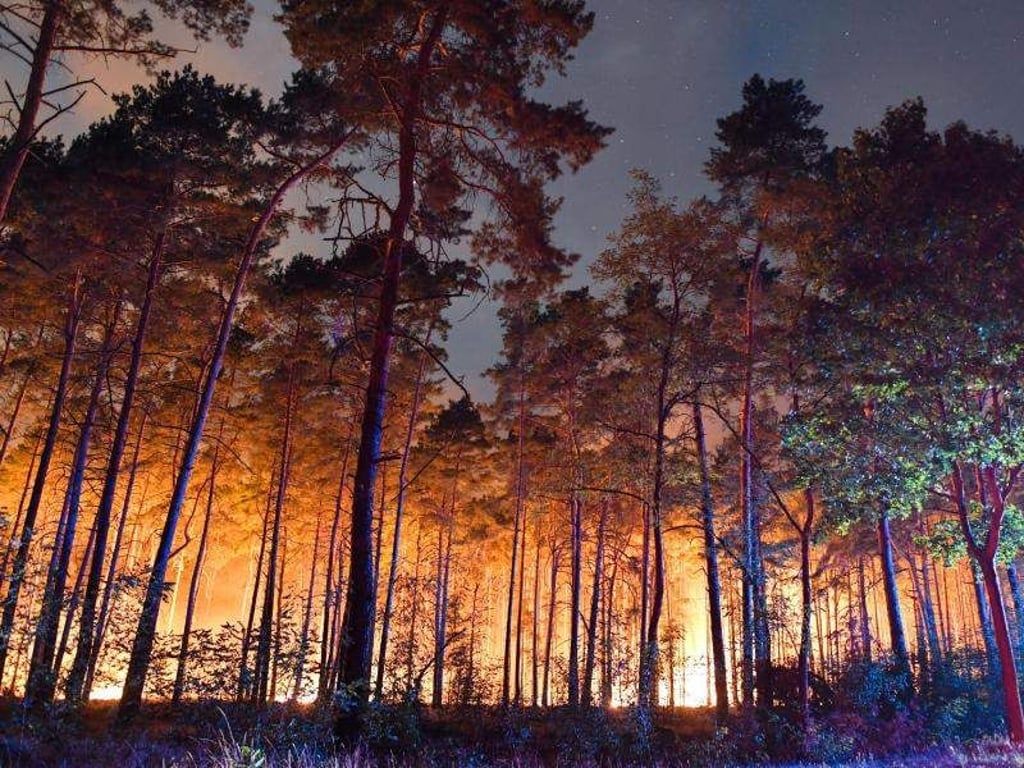 Ein brennender Wald nahe Klausdorf im Südwesten Brandenburgs. Foto: Patrick Pleul