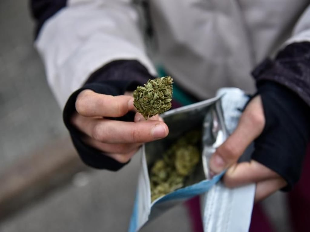 Weltpremiere in Montevideo: Eine Frau zeigt ihr soeben in einer Apotheke gekauftes Päckchen Marihuana. Als erster Staat organisiert Uruguay sowohl den Anbau als auch den legalen Verkauf der Droge. Pablo Abarenga Foto: Pablo Abarenga