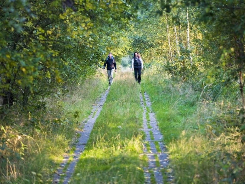 Grünes Band: Der Grenzer-Weg führt entlang einer Grenze, die es gar nicht mehr gibt: der ehemaligen innerdeutschen Grenze. Foto: Andreas Hub/Frankenwald Tourismus