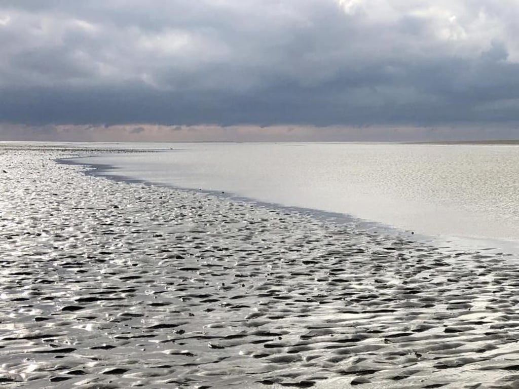 Zwischen den Prielen kann man bei Ebbe spazieren gehen. Doch kommt die Flut, werden die ruhigen Gewässer zu reißenden Flüssen. Foto: Teresa Nauber