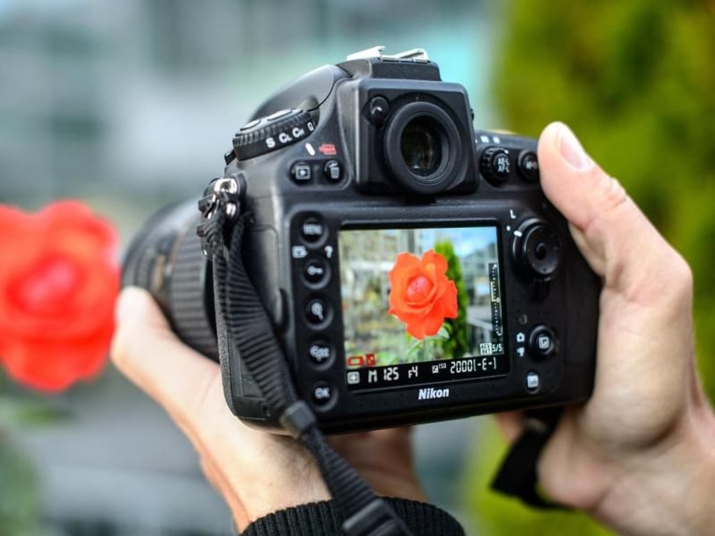 Egal, was man fotografiert: Die Kamera sollte ruhig in den Händen liegen. Fotos, mit denen man Geld verdienen möchte, dürfen nicht verwackelt sein. Foto: Sina Schuldt