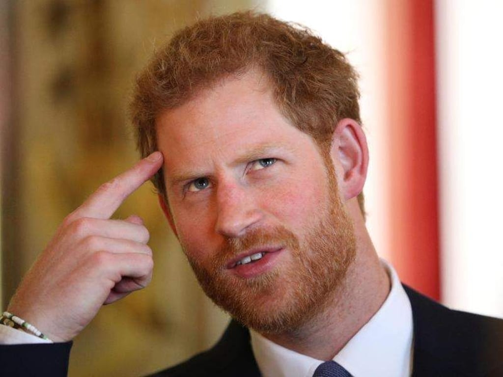 Prinz Harry. Foto: Jonathan Brady