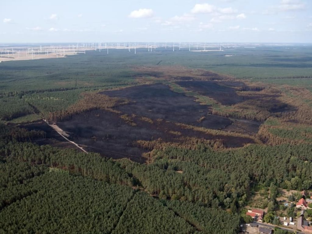 Der Waldbrand im Treuenbrietzen hielt Einsatzkräfte und Anwohner tagelang in Atem. Foto: Ralf Hirschberger