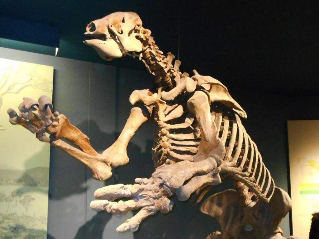 Skelett eines Riesenfaultiers im Smithsonian National Museum of Natural History in Washington, USA. Foto: Gretel Johnston