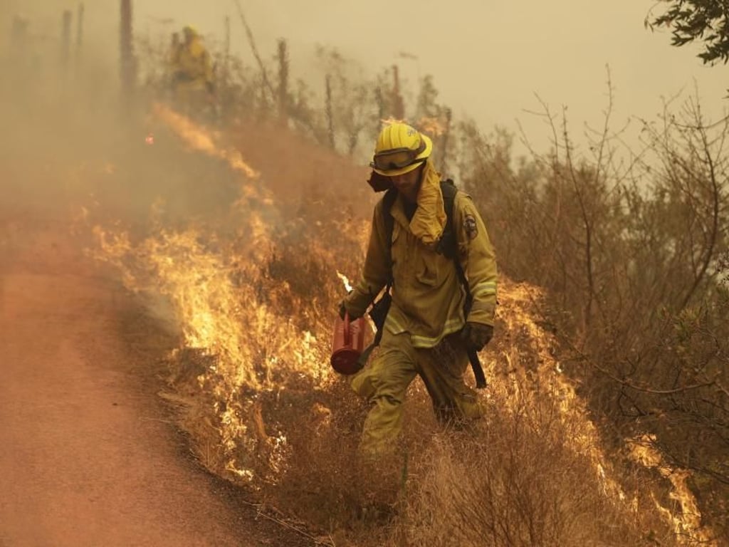 Mit sogenannten Gegenfeuern geht - wie hier in Glen Ellen - die Feuerwehr gegen die gewaltigen Buschfeuer an. Foto: Marcio Jose Sanchez