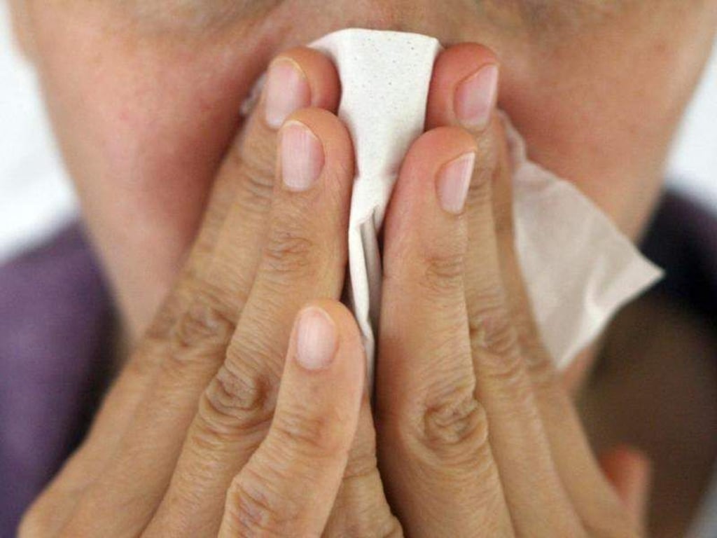 Grippewelle erreicht vorerst Höhepunkt. Foto: Karl-Josef Hildenbrand/Archiv