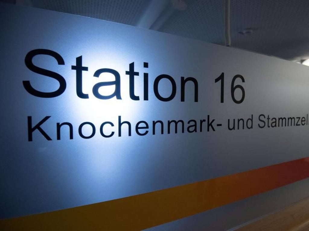 Die Knochenmark- und Stammzelltransplantationseinheit Tübingen. Alle 35 Sekunden erkrankt weltweit ein Mensch an Blutkrebs. Foto: Marijan Murat