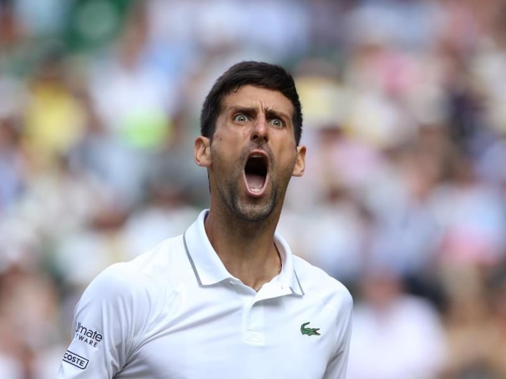 Zieht mit einem triumphierenden Schrei ins Finale von Wimbledon ein: Novak Djokovic. Foto: Carl Recine/PA Wire