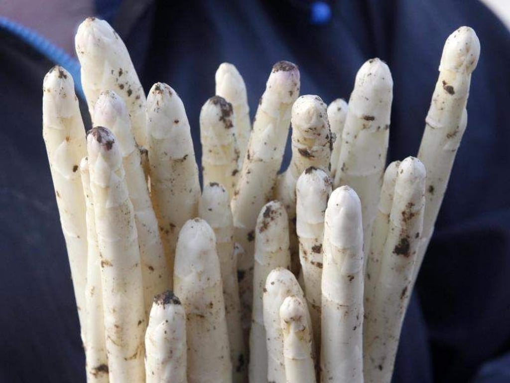 Der erste Spargel lässt wegen des kühlen Wetters auf sich warten. Foto: Roland Weihrauch/Archiv