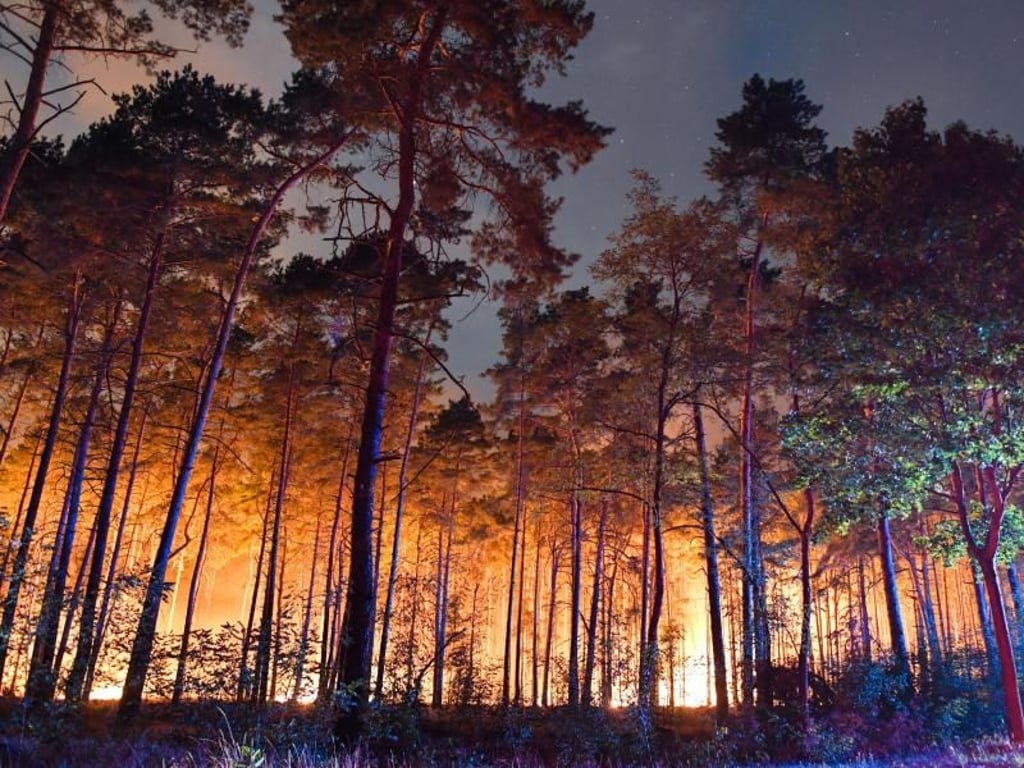 Ein brennender Wald nahe Klausdorf im Südwesten Brandenburgs. Foto: Patrick Pleul