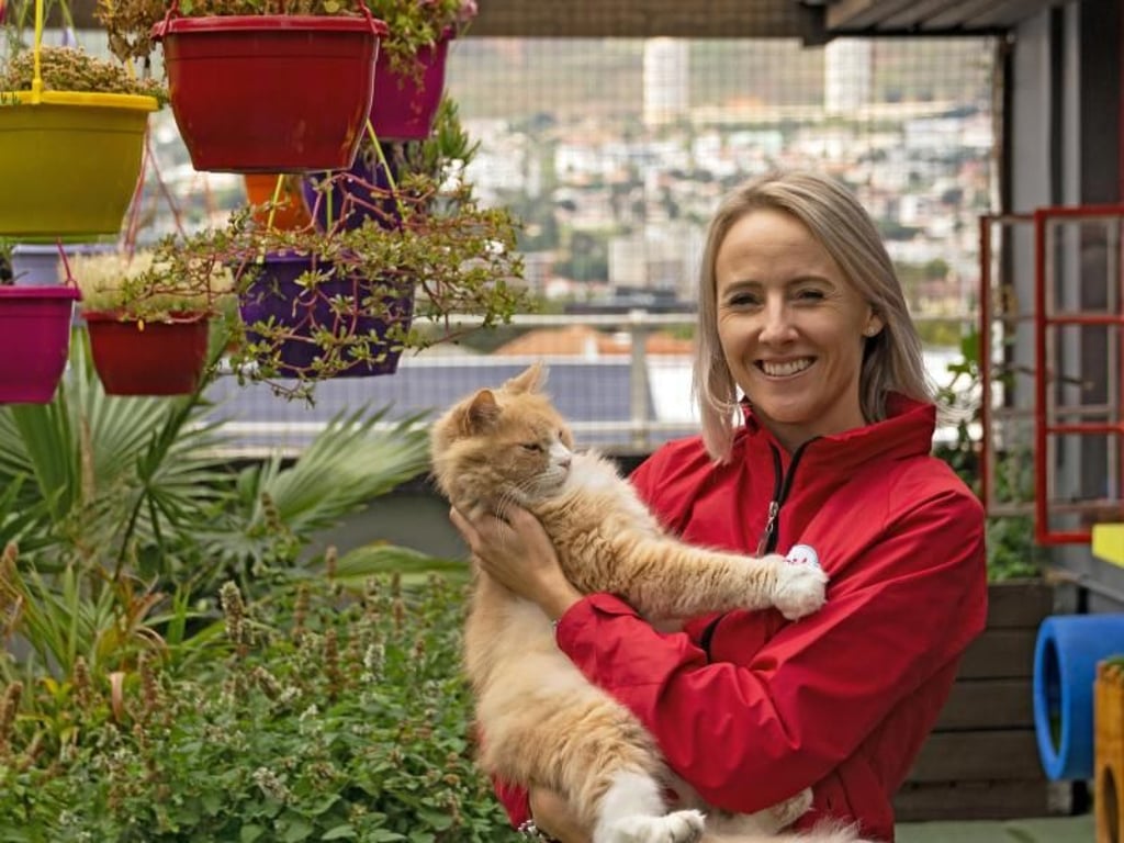 Hotelgründerin Yanic Klue steht mit Kater Crookshank auf dem Katzenspielplatz. Foto: Tycho Schildbach