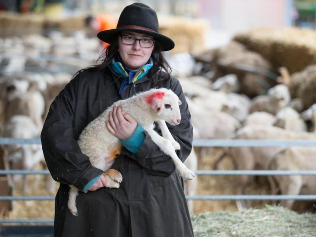 Sarah Twente trägt ein Bentheimer Landschaf auf dem Arm. Zum Beruf eines Schäfers gehört die Behütung, die Zucht und die Verwertung von Schafen. Foto: Friso Gentsch