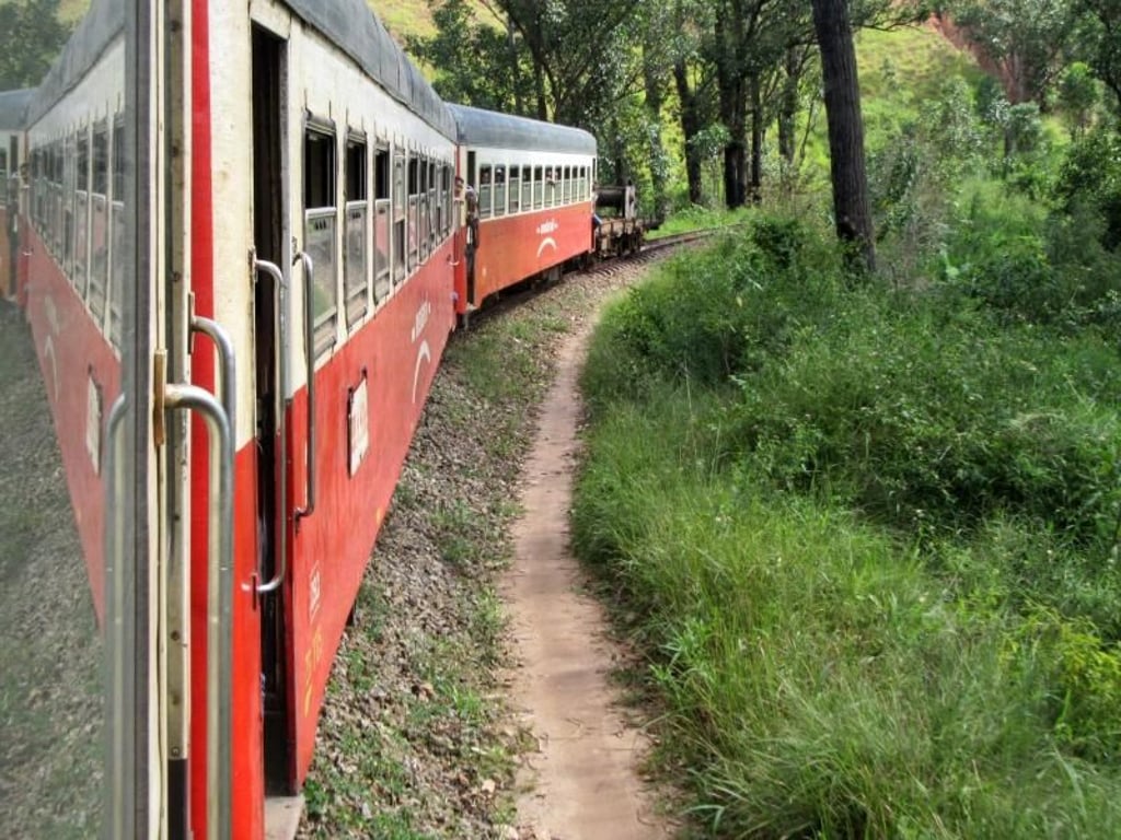 Viel Grün sehen die Passagiere beim Blick aus dem Fenster des «Le trans lémurie express». Foto: Bernd Kubisch