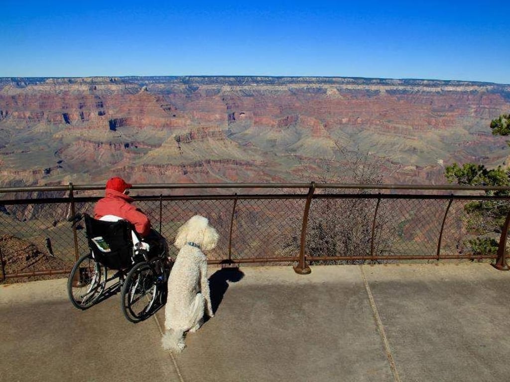 Die 91-Jährige Norma Bauerschmidt und der Pudel Ringo blicken über den Grand Canyon. Foto: Ramie B. Liddle