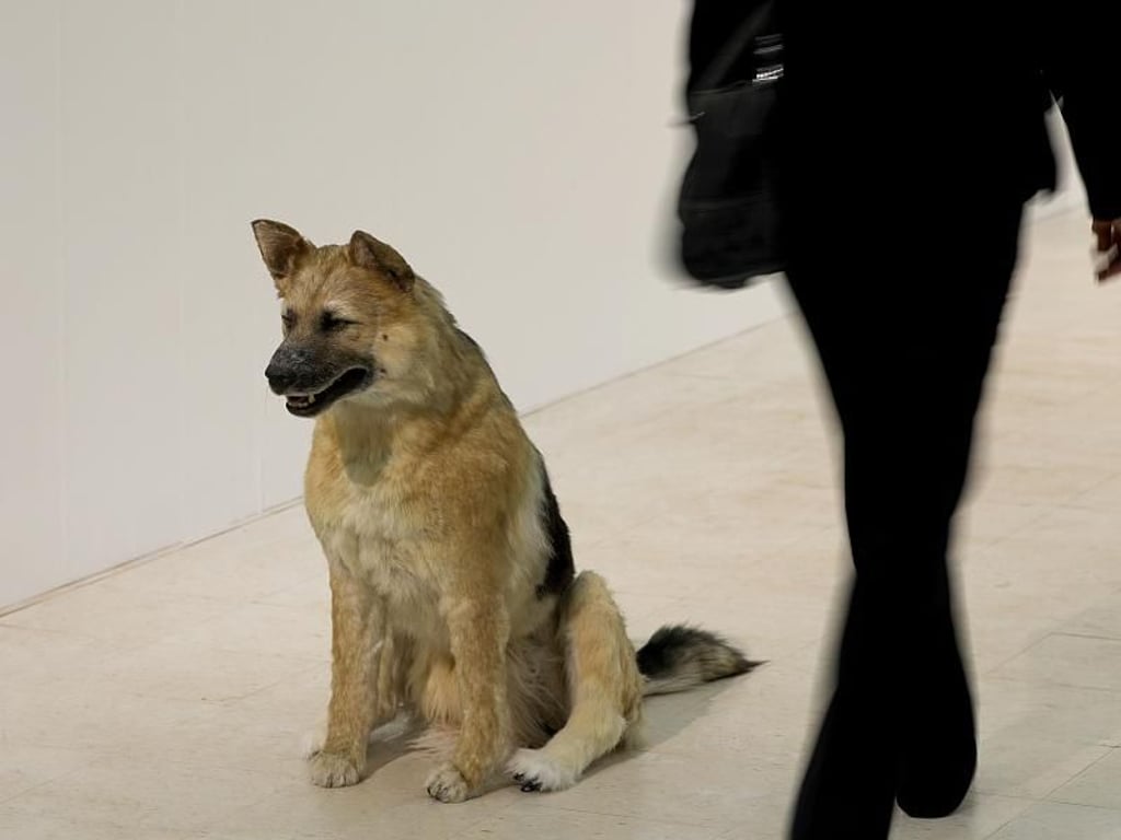 Piero Golia , The Dog and the Drop, 2013. Foto: Oliver Berg