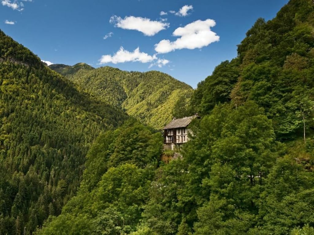 Das Onsernone-Tal ist eines der größten Waldreservate des Landes. Foto: swiss-image.ch/Renato Bagattini