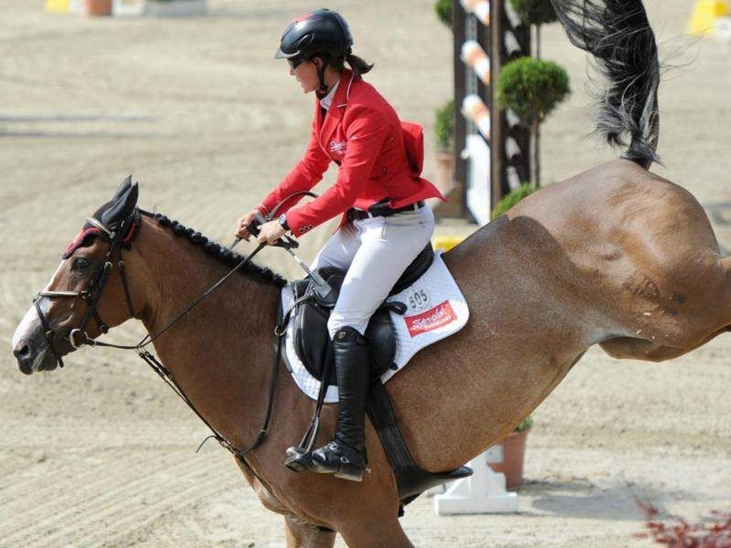 Jörne Sprehe gewann auf Luna den Großen Preis von Frankfurt. Foto: Caroline Seidel