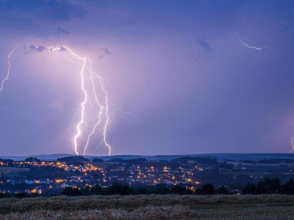 Hund, Katze und Co. hören und Spüren das Gewitter meist noch deutlicher als wir Menschen. Viele haben panische Angst davor. Am besten sorgt man für Ablenkung. Foto: Bernd März