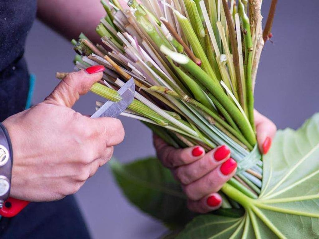 Klaus-Dietmar Gabbert