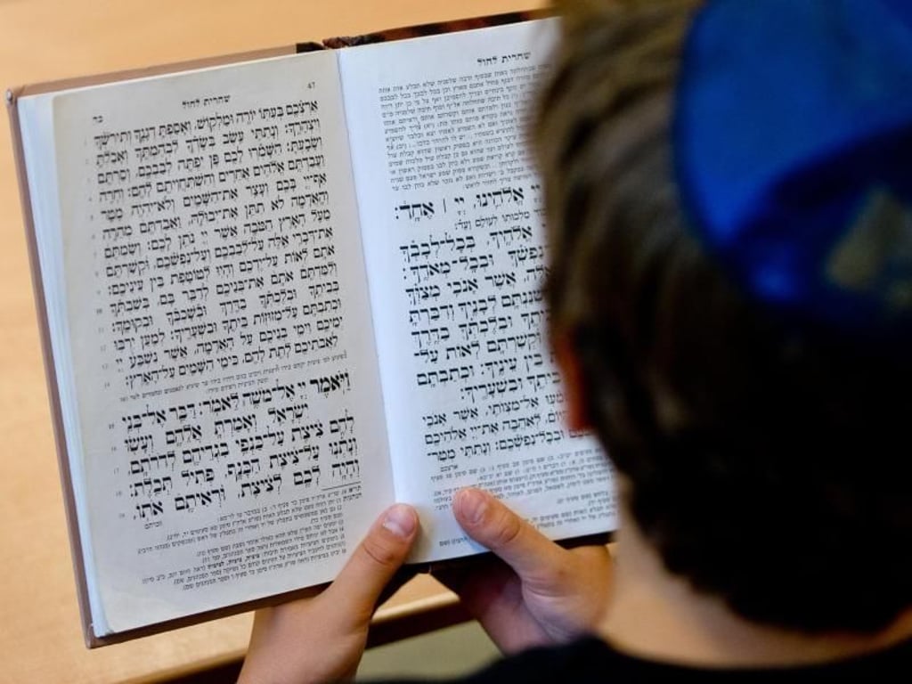 Ein Schüler der Talmud-Tora-Schule in Hamburg mit Kippa liest in einem Gebetsbuch. Foto: Daniel Bockwoldt/Archiv