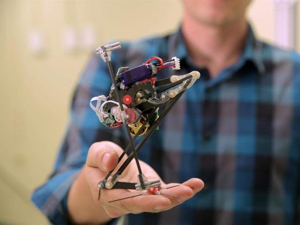 Ein filigranes Gestänge, Zahnräder und Kabel: Der Roboter "Salto". Foto: Stephen McNally
