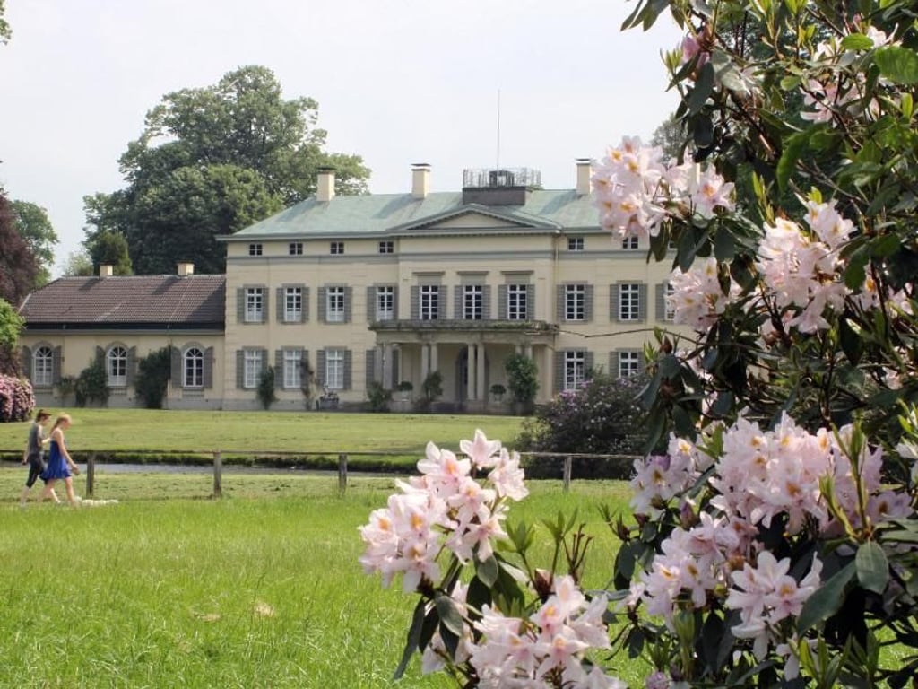 Im Schlosspark in Rastede wuchsen gegen Ende des 18. Jahrhunderts die ersten Rhododendren der Region. Foto: Bernd F. Meier