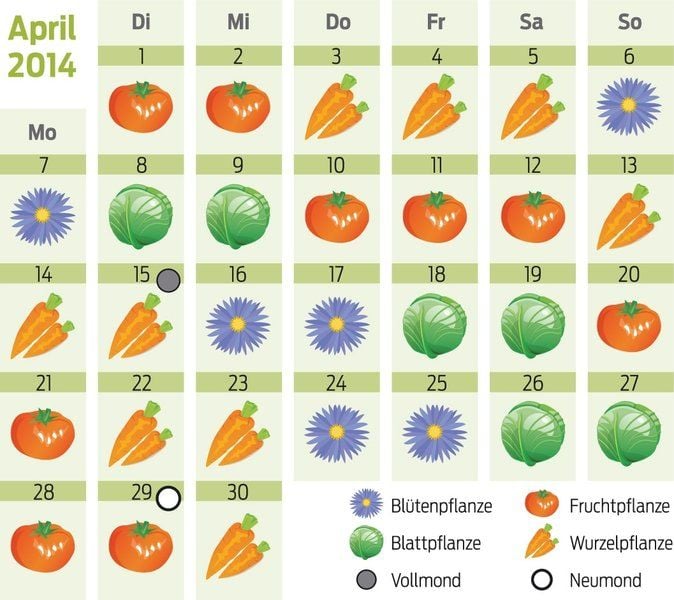 Gärtnern nach dem Mondkalender