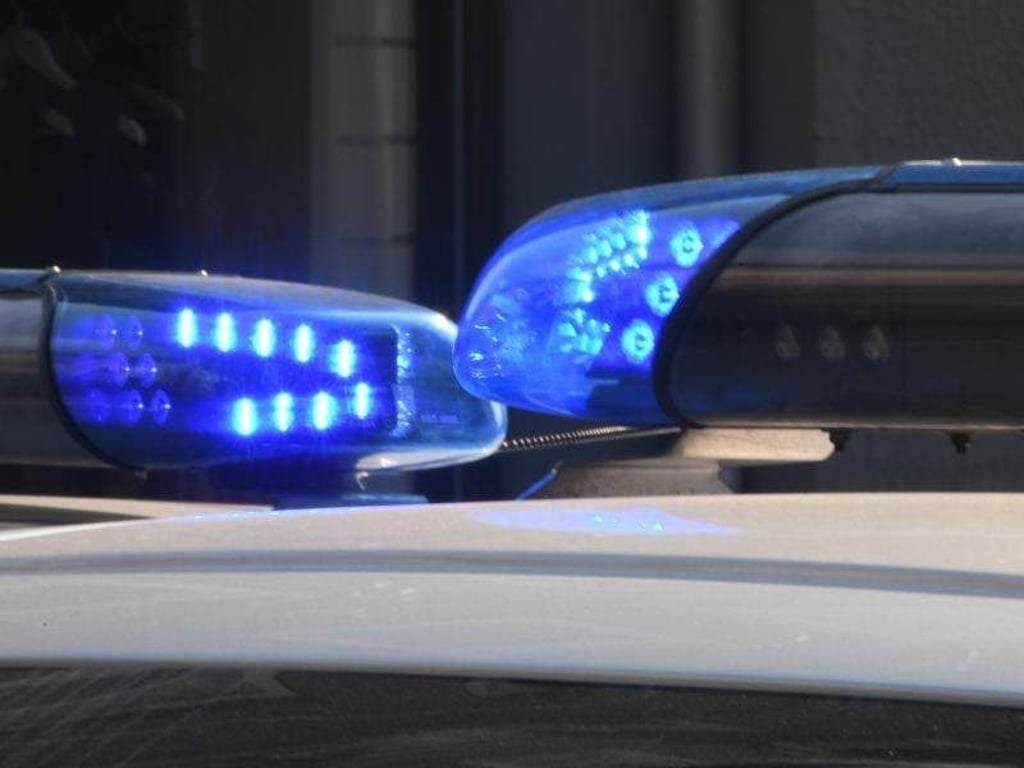 Die Blaulichter sind auf den Dächern von Polizeifahrzeugen zu sehen. Foto: Carsten Rehder/Archiv