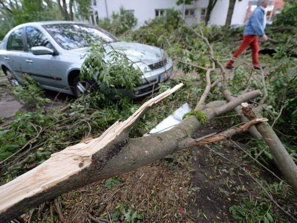 Ein umgestürzter Baum am 08.07.2015 im Stadtteil Lettin in Halle/Saale. Foto: Hendrik Schmidt