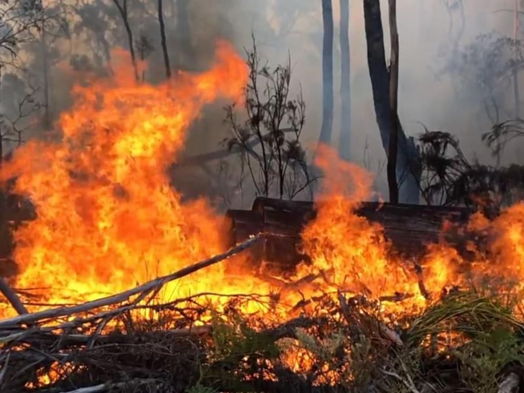 Tasmania Fire Service