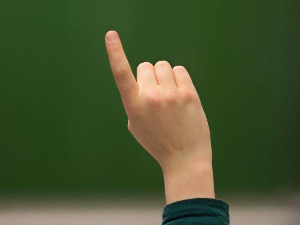 Eine Schülerin meldet sich. Foto: Julian Stratenschulte/Archiv