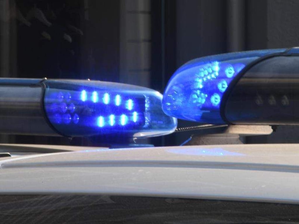 Blaulichter sind auf den Dächern von Polizeifahrzeugen zu sehen. Foto: Carsten Rehder/Archiv
