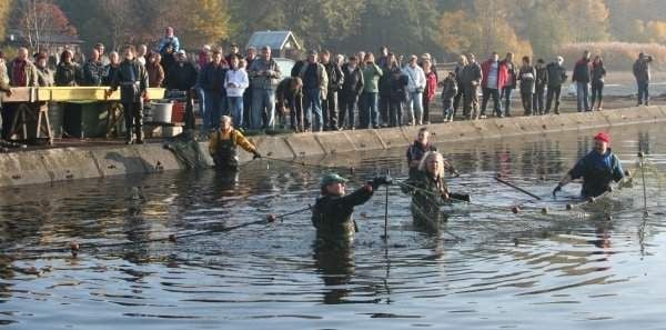 Alljährliches Spektakel am Deetzer Teich